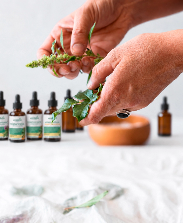 Productos naturales y fitoterapia en Uruguay | Verdelia